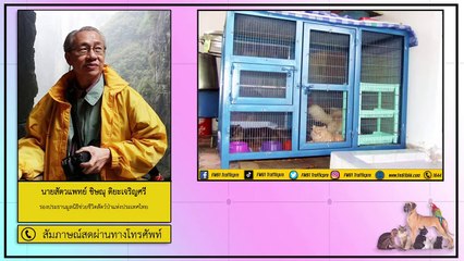 การเลี้ยงหมาแมวในกรงกับปล่อยให้เป็นอิสระแตกต่างอย่างไร : FM91 คลินิกสัตว์เลี้ยง : 14 พฤศจิกายน 2563
