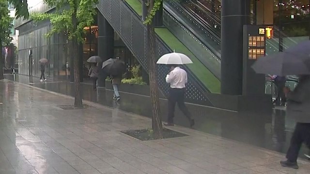 [날씨] 제헌절 찜통더위 계속, 전국 강한 소나기 주의 / YTN