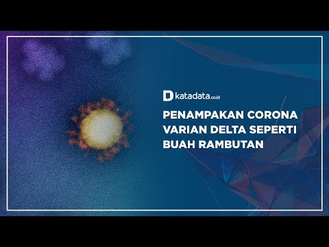 Penampakan Corona Varian Delta, Seperti Buah Rambutan | Katadata Indonesia