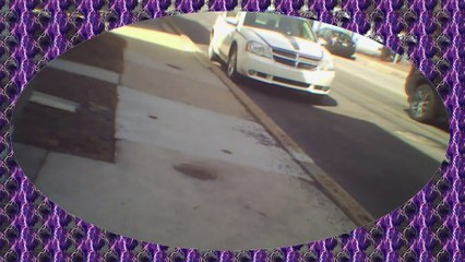 Cleaning cat box l eating and shooping l See Through Frame effect