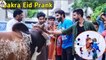 Bakra Eid Special Prank | Eid ul azha funny prank | Eid bakra prank