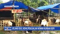 Idul Adha Tinggal Sebentar Lagi, Penjual Hewan Kurban Keluhkan Sepi Pembali