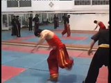 Malang Wushu (14)Part3