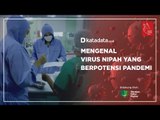 Mengenal Virus Nipah yang Berpotensi Pandemi | Katadata Indonesia