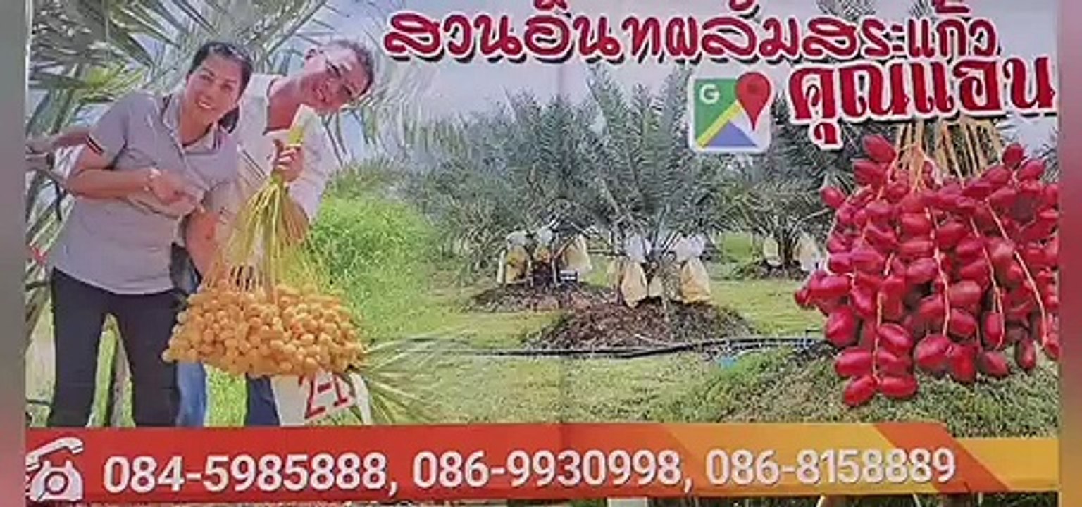 "หมอปลา" มือปราบสัมภเวสี บุกสวนอินทผลัมเรียกวิญญาณเฮี้ยนถูกยิงตาย 3 ศพ