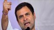 'Congress does not need scared partymen' says Rahul Gandhi