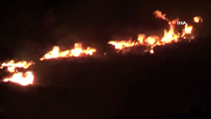 Bodrum'da çıkan yangın evlere ulaşmadan kontrol altına alındı