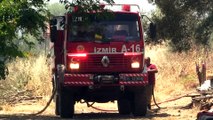 İZMİR - Aliağa'daki ağaçlandırma sahasında çıkan yangın kontrol altına alındı