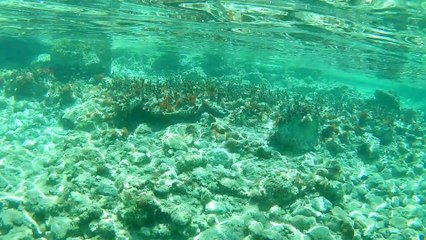 Suyun altındaki tarla