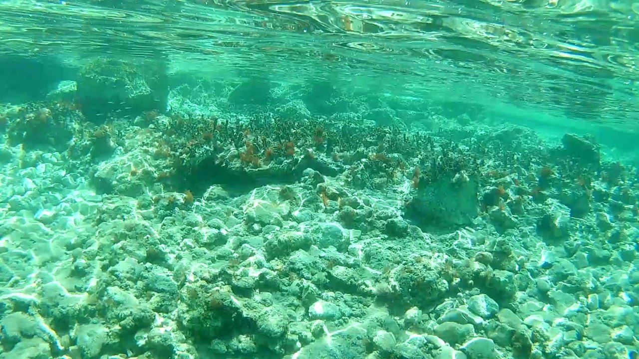 Suyun altındaki tarla