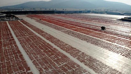 Torbalı'nın "kırmızı altınları" dünya sofrasında