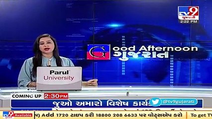 Farmers rejoice after heavy rainfall in Mangrol, Junagadh _ TV9News