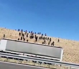 Ankara- Niğde otobanında şok eden görüntüler!  İşte Türkiye'ye mülteci akını!