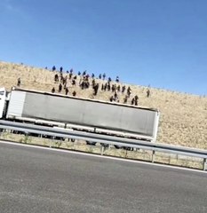 Kaçak göçmenleri otoyolda bıraktılar