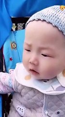 Smart Dog | Touching About Dogs - Cute and Funny Dog