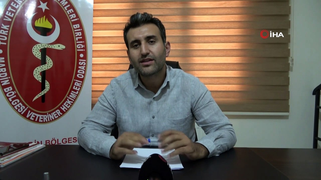 Kurbanlık ile ilgili uzmanlardan uyarı