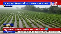 Mini Storm in Somnath due to heavy rainfall and strong gusts _ TV9News