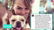 Chrissy Teigen and John Legend’s Dog Pippa Died In Her Arms