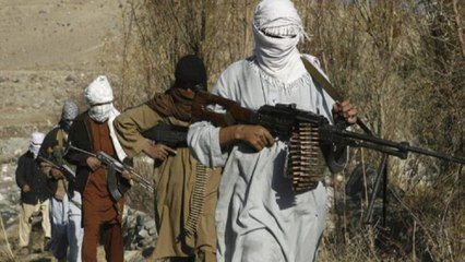 Download Video: Taliban claims - captured two-thirds of Afghanistan