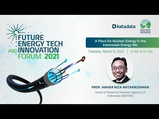 A Place for Nuclear Energy in the Indonesian Energy Mix