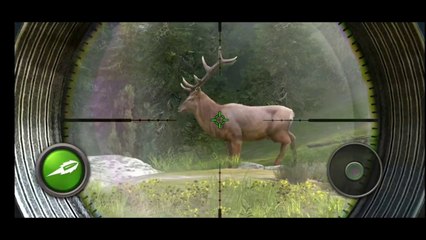 Animal Hunter- HUNTING SCLASH