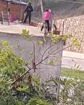 Görüntüler, izleyenleri dehşete düşürdü! Kediye eziyet iddiasına soruşturma başlatıldı