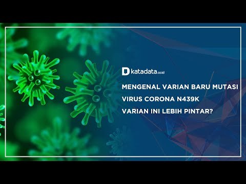 Mengenal Varian Baru Mutasi Virus Corona N439K Varian Ini Lebih Pintar? | Katadata Indonesia
