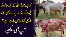 Karachi mei qurbani k aik janwar ki qeemat crore ropay se b zaid, aisi kia khas baat hai? Aap b dekhiye