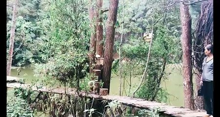 Lạc Tiên Giới – Trải nghiệm mới lạ tại Đà Lạt