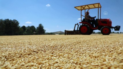 GAZİANTEP - Gaziantep'in 'doğal bulguru'na ilgi artıyor