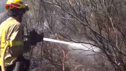 El incendio de Gerona avanza con el aumento de las rachas de viento y las altas temperaturas