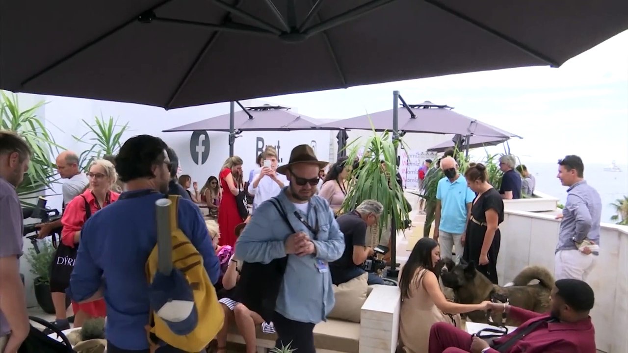 Festival de Cannes : les trois chiens de Tilda Swinton récompensés par la "Palm Dog"