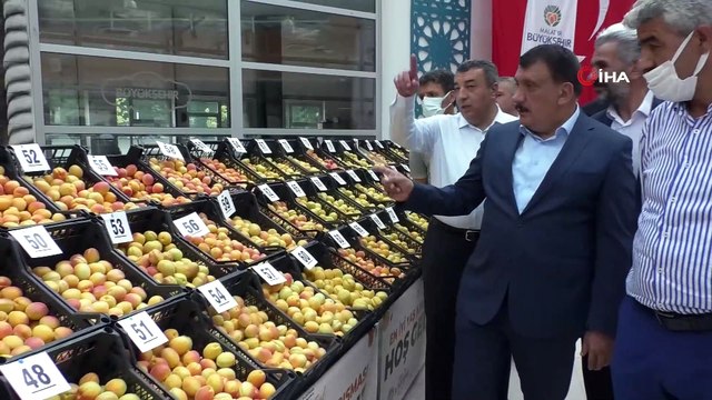 ‘En iyi yaş kayısı’ yarışması yapıldı