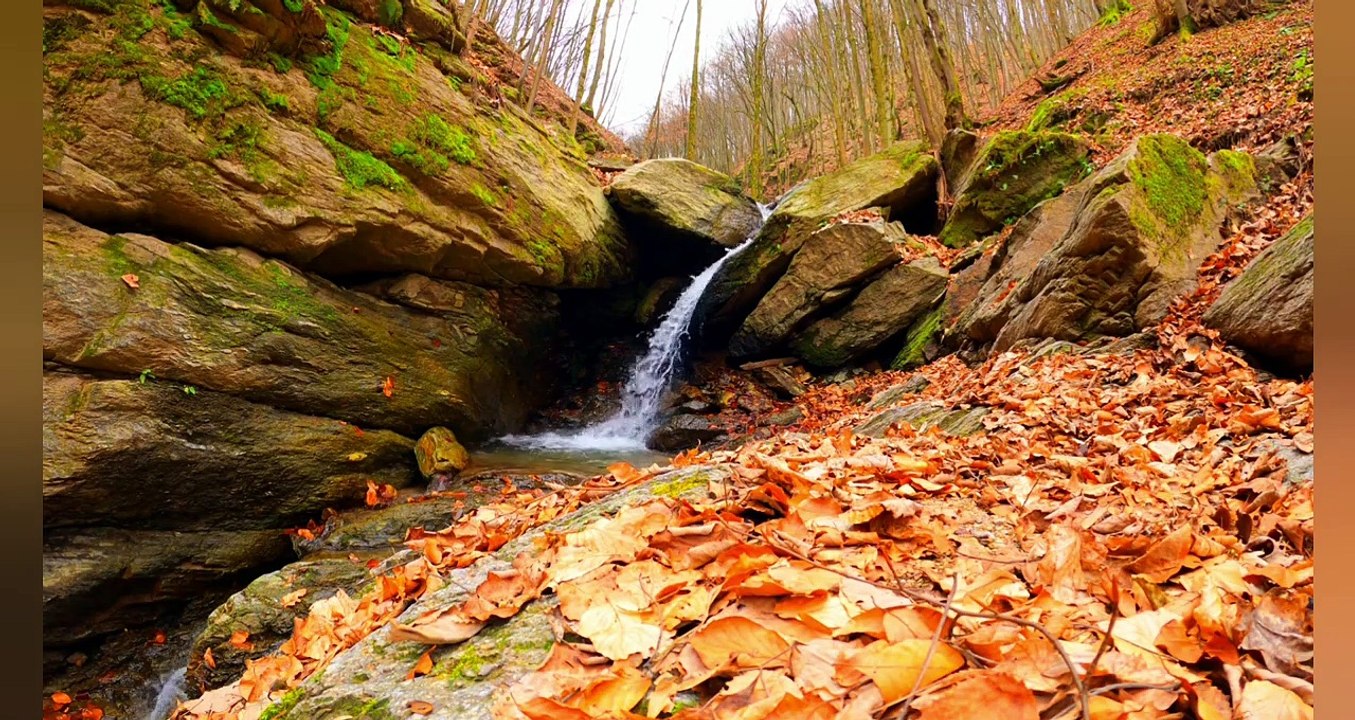 Relaxing Deep Sleep Music_ Sleep Music _ Relaxing & Relax Music_ Meditation Music