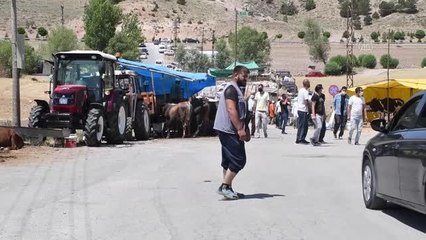 Kurban Bayramı öncesi canlı hayvan pazarında hareketlilik