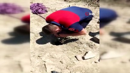 İtfaiyeciler sondaj çukuruna düşen yavru köpeği kurtardı