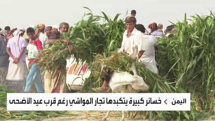 ميليشيا الحوثي تحرم اليمنيين من أضاحي عيد الأضحى