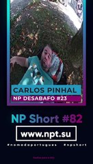 NP Short #82 | se conseguir encontrar um trabalho que se adeqúe á minha vida, boa, se não... -- NP Desabafo #23
