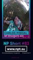 NP Short #83 | É uma questão de ser feliz e viver a vida... -- NP Desabafo #23