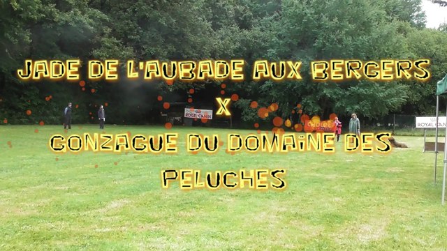 2021 Obéissance :Brevet Orus de l'Aubade aux Bergers