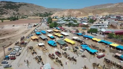 Vali ve Belediye Başkanı, ihtiyaç sahipleri için pazarın en büyük iki kurbanlığını satın aldı