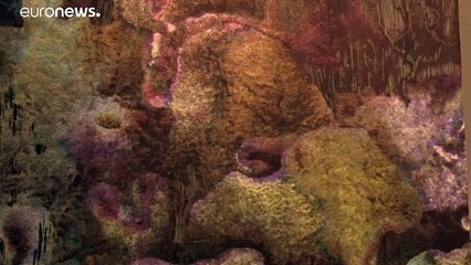 شاهد: تلوث الهواء محور معرض فني في لندن