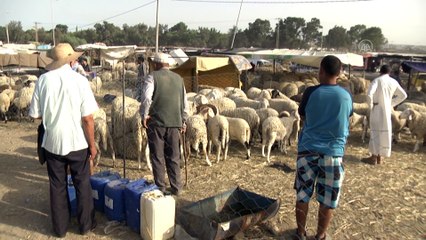 TUNUS - Kurban pazarları Kovid-19 salgını nedeniyle durgun