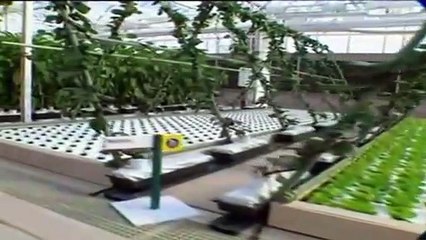 israel cristiano. cast.33 como funciona en los campos la tecnologia moderna  para  la agricultura