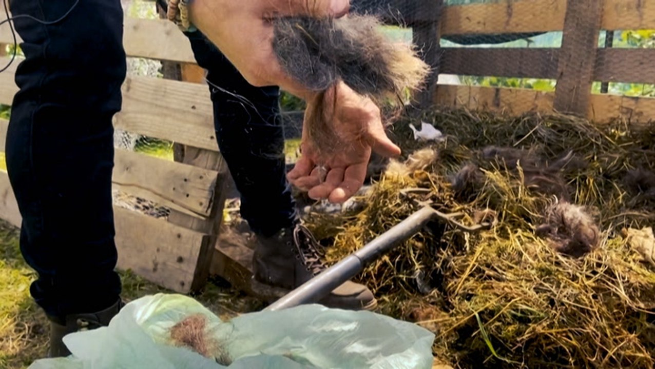 Recycling hair: UK stylists promote eco-drive