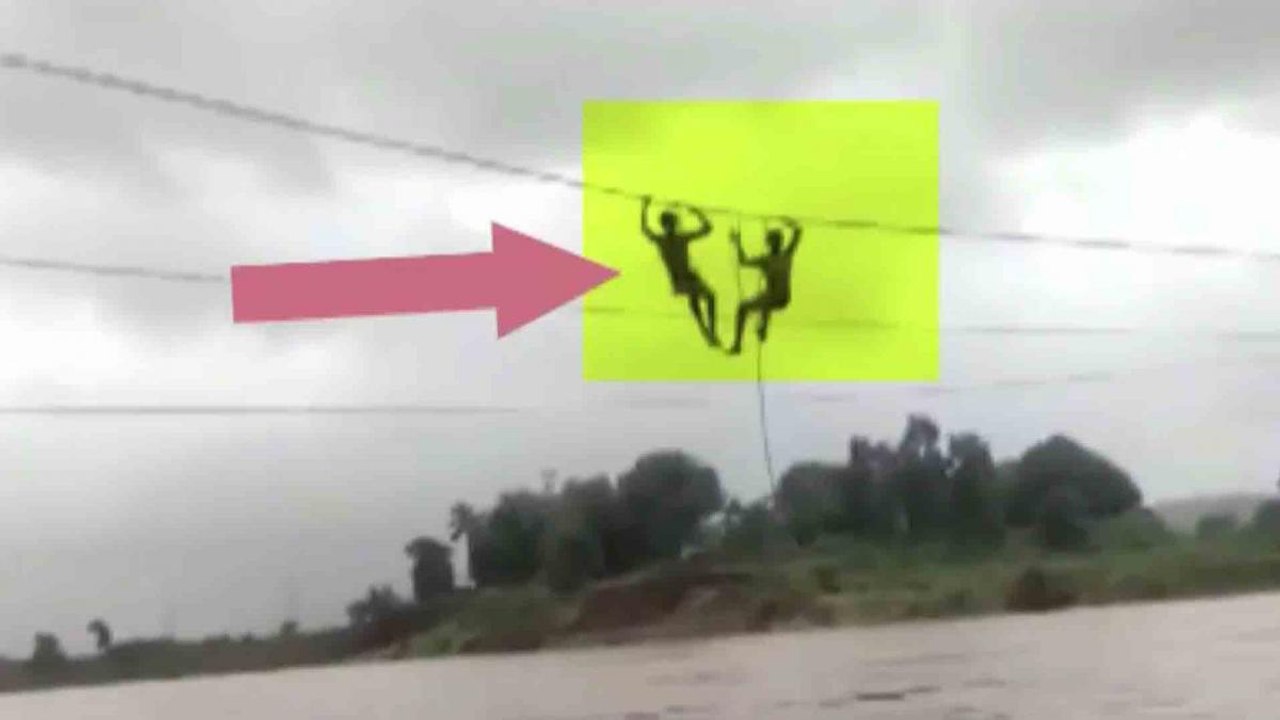 NDRF rescues two linemen stuck mid-air over flooded river