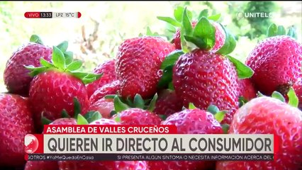 Productores de los Valles cruceños buscan industrializar sus productos