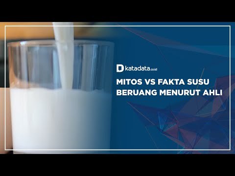 Mitos VS Fakta Susu Beruang Menurut Ahli | Katadata Indonesia