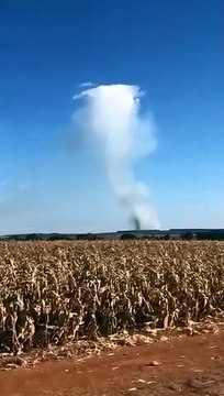 Redemoinho em meio a incêndio impressiona moradores de Planaltina