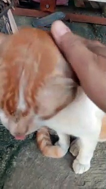 Si oren lagi bete